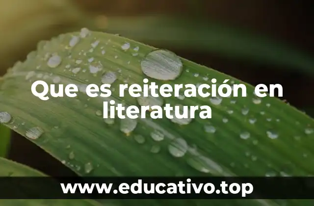 Que es reiteración en literatura