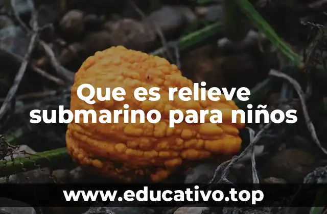 Cómo se forman las formas del fondo marino