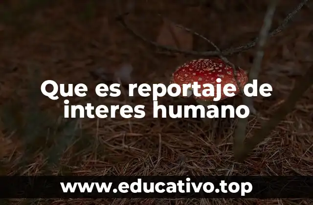 Que es reportaje de interes humano