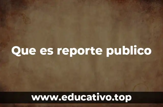 Que es reporte publico
