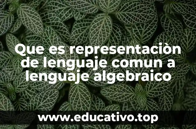 Que es representaciòn de lenguaje comun a lenguaje algebraico