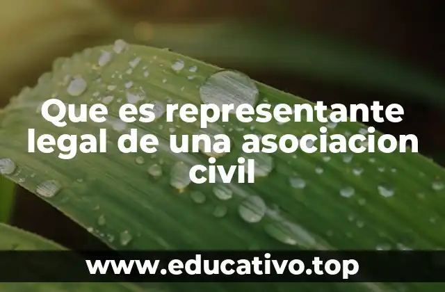 La importancia del representante legal en el funcionamiento de una asociación civil