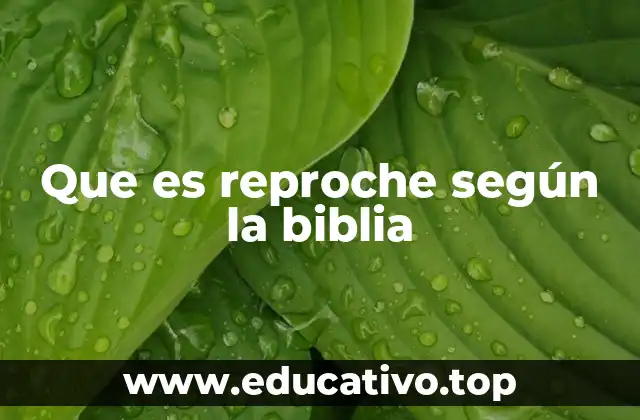 Que es reproche según la biblia