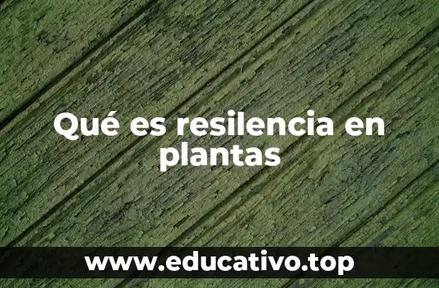 Qué es resilencia en plantas