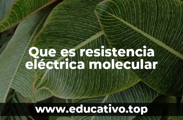 Que es resistencia eléctrica molecular
