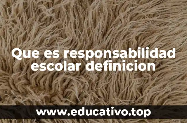 La importancia de la responsabilidad en el entorno escolar