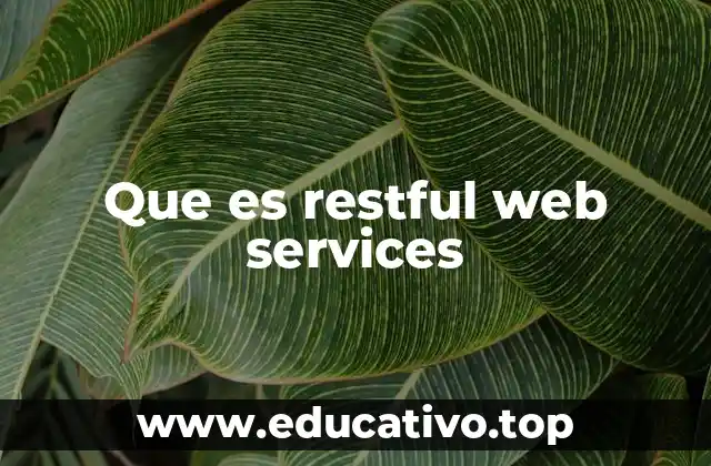 Cómo funcionan los servicios web basados en REST