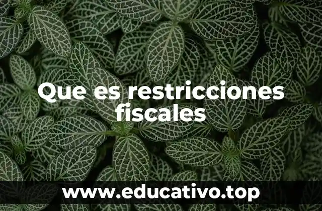 Que es restricciones fiscales