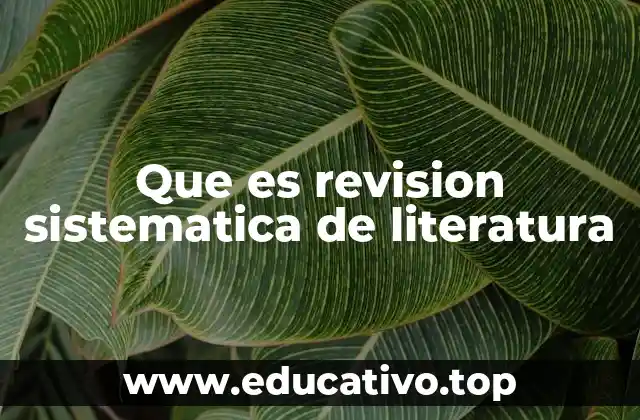 Que es revision sistematica de literatura