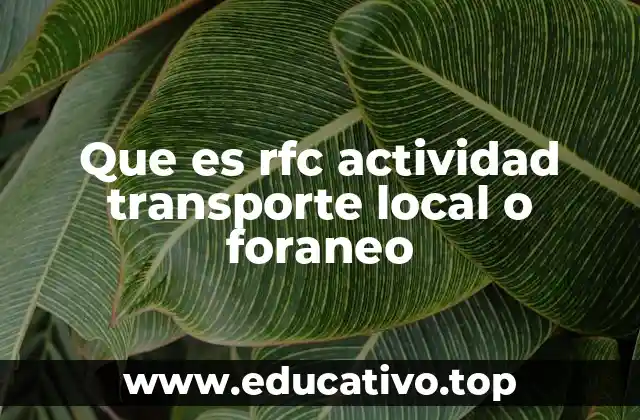 Cómo se registra una actividad de transporte en el RFC