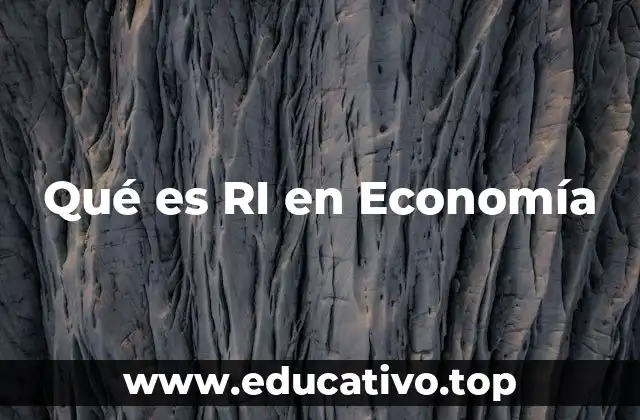 Qué es RI en Economía