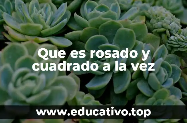 Que es rosado y cuadrado a la vez