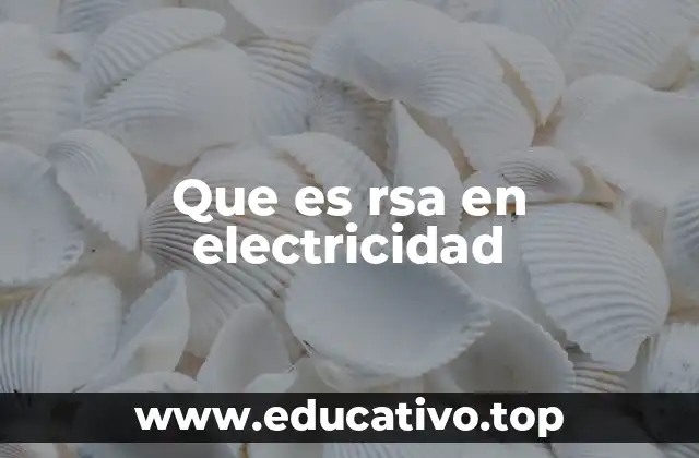 Que es rsa en electricidad