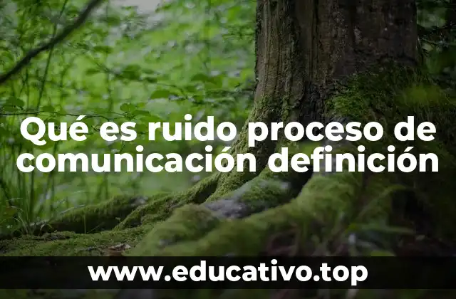 Qué es ruido proceso de comunicación definición