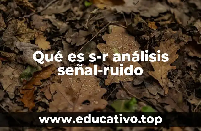 Qué es s-r análisis señal-ruido