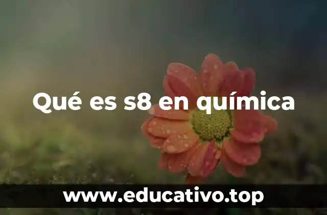 Qué es s8 en química