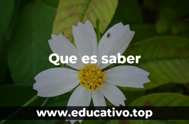 Que es saber