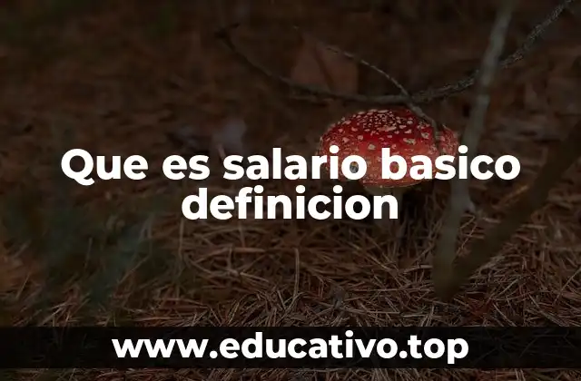 Que es salario basico definicion
