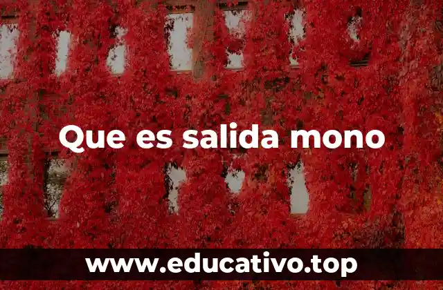 Que es salida mono