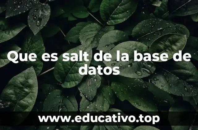 La importancia del salt en la seguridad de contraseñas