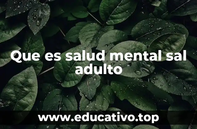 Que es salud mental sal adulto