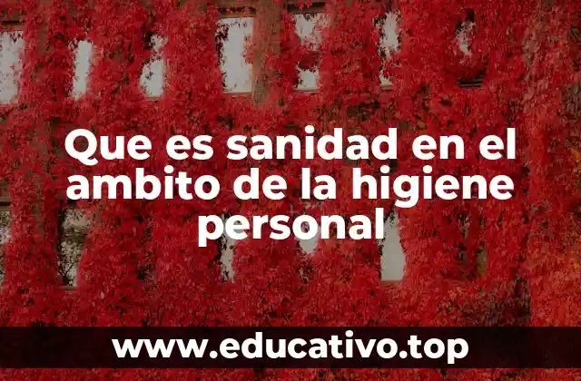 Que es sanidad en el ambito de la higiene personal