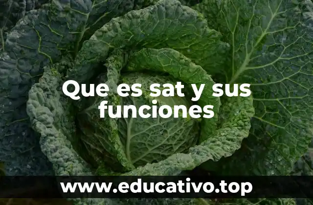 El papel del SAT en la economía mexicana