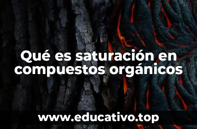 Qué es saturación en compuestos orgánicos