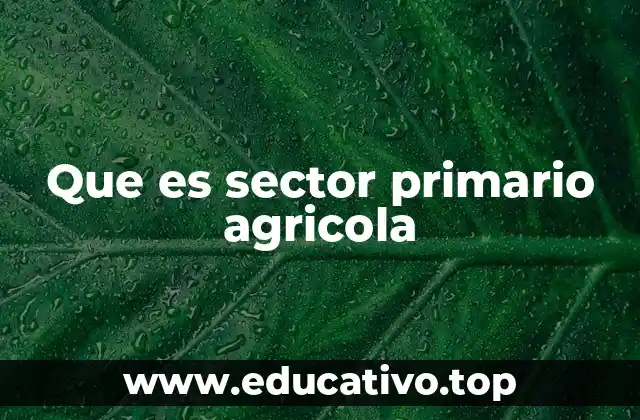 Que es sector primario agricola