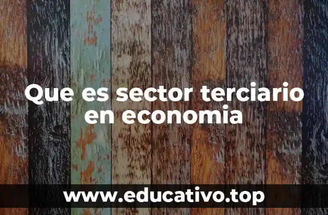 El impacto del sector terciario en la economía moderna