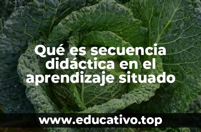 Qué es secuencia didáctica en el aprendizaje situado