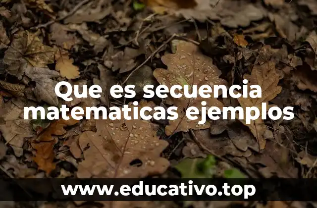 El orden como base para comprender patrones numéricos