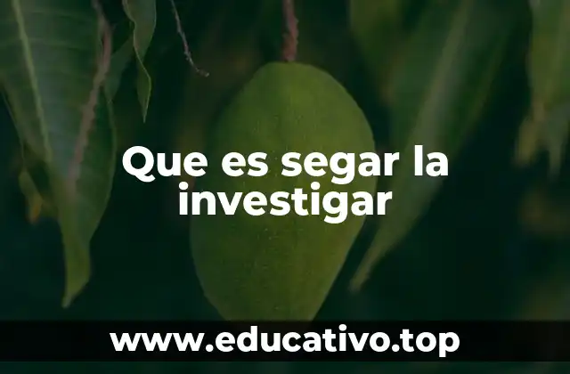 Que es segar la investigar