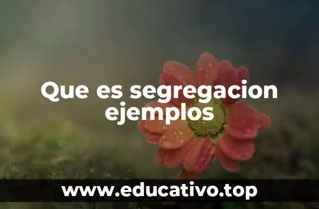 Que es segregacion ejemplos