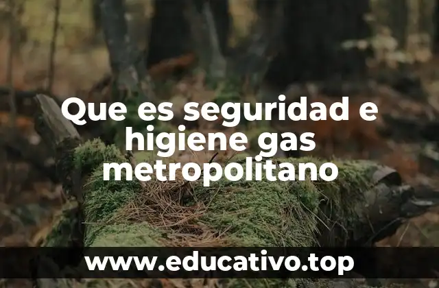 Que es seguridad e higiene gas metropolitano