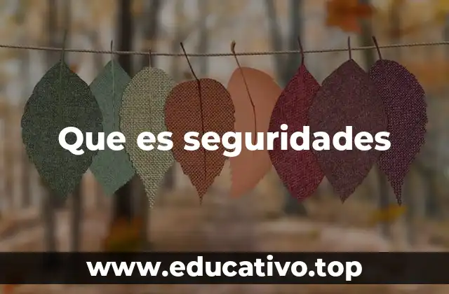 Que es seguridades