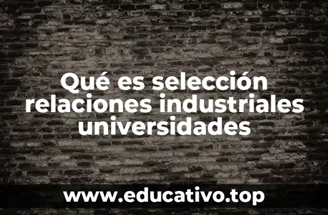 Cómo se estructura el proceso de selección universitaria para carreras técnicas