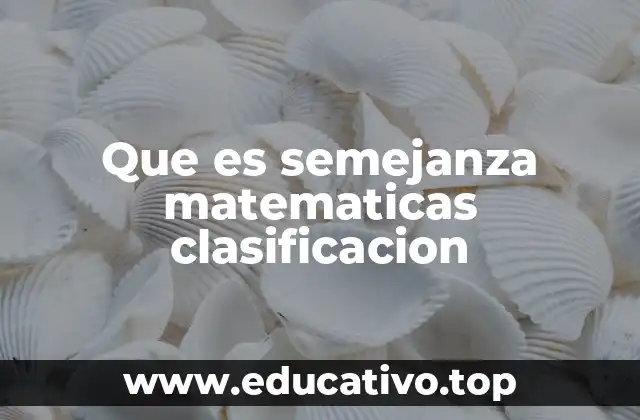 Semejanza y proporcionalidad: una relación esencial