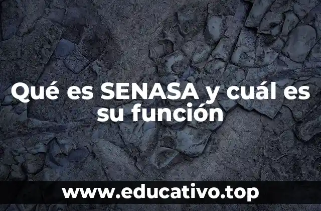 Qué es SENASA y cuál es su función