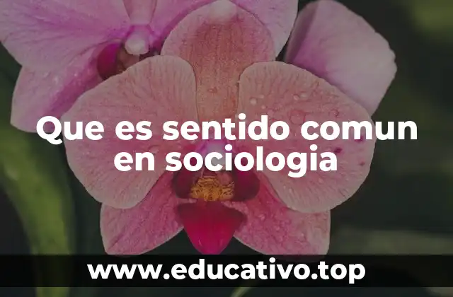 Que es sentido comun en sociologia
