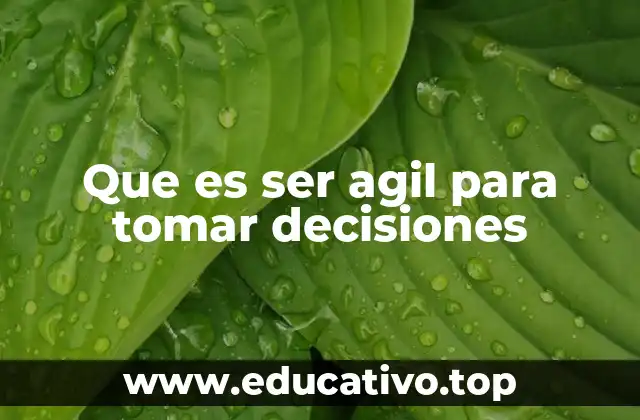 Que es ser agil para tomar decisiones