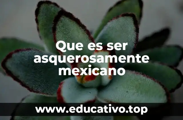 Que es ser asquerosamente mexicano