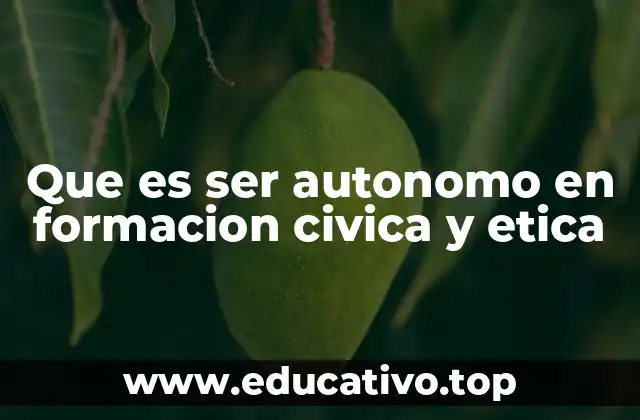 Que es ser autonomo en formacion civica y etica