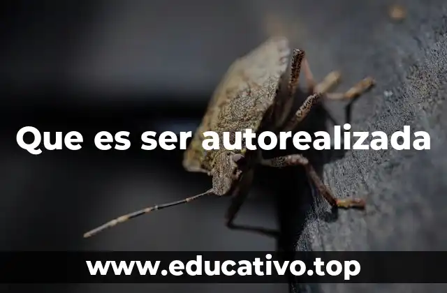 El camino hacia el pleno desarrollo personal