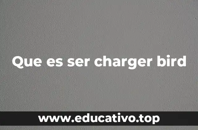 Que es ser charger bird