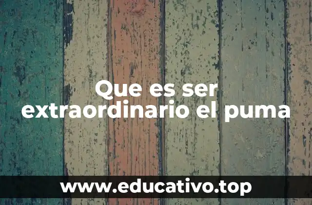 Que es ser extraordinario el puma
