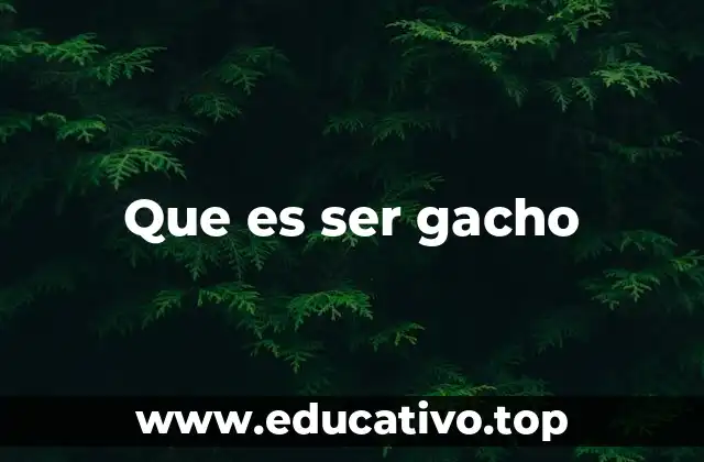 Que es ser gacho