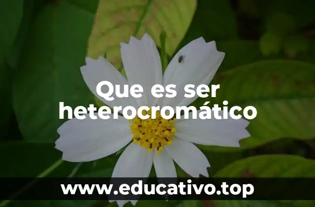 Que es ser heterocromático