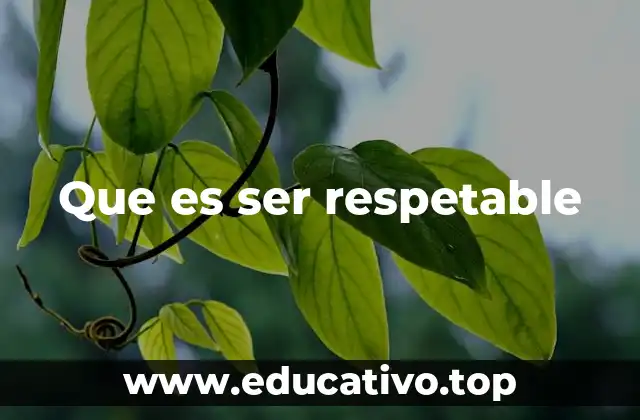 Que es ser respetable