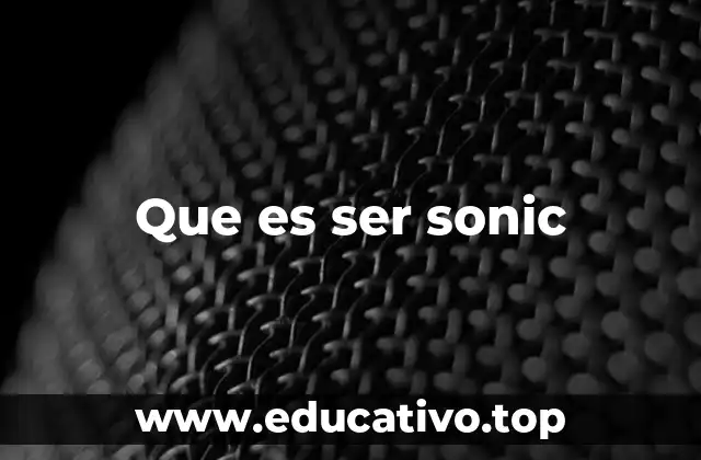 Que es ser sonic